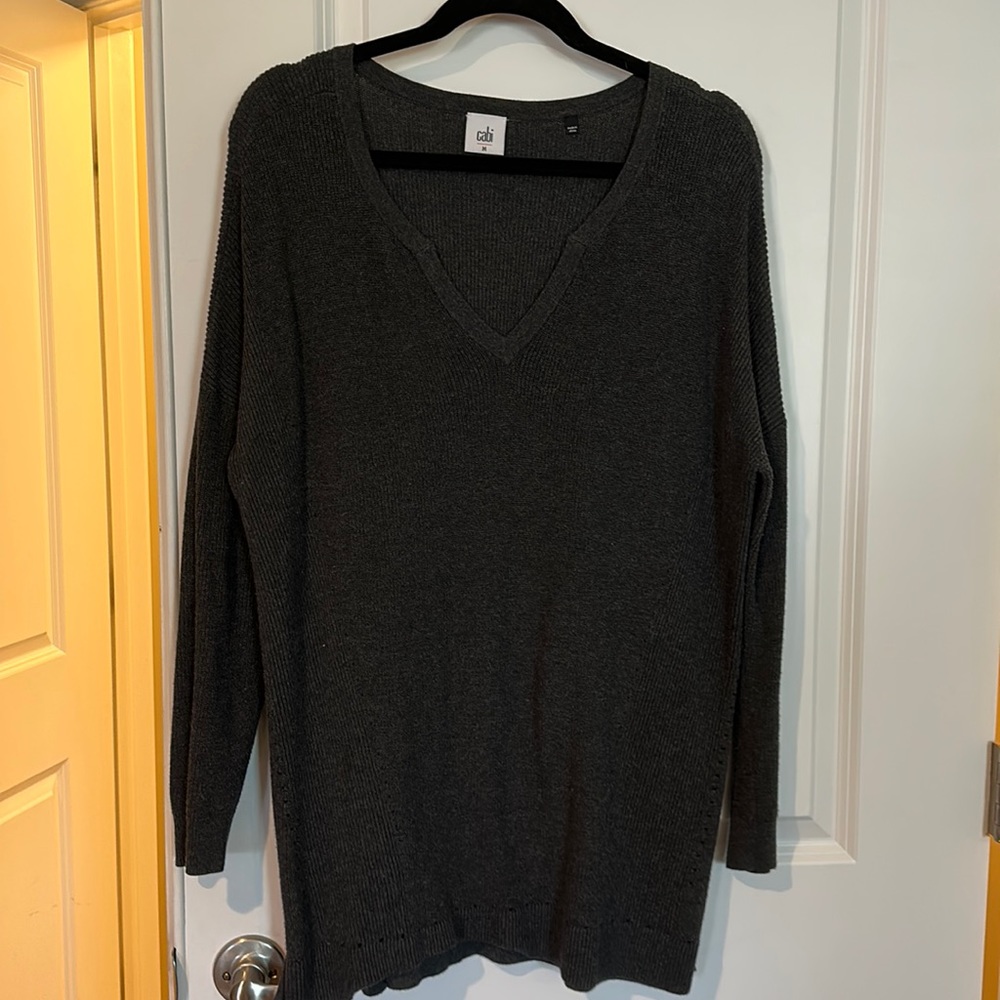 Long CABI sweater